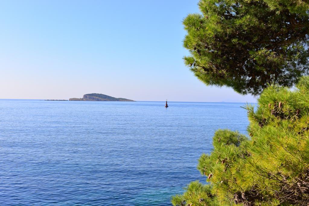 A&M Cavtat Family Apartment - 3 Bedrooms And Free Parking 外观 照片