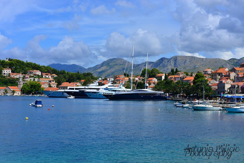 A&M Cavtat Family Apartment - 3 Bedrooms And Free Parking 外观 照片